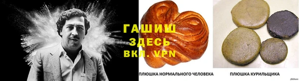 стаф Верея