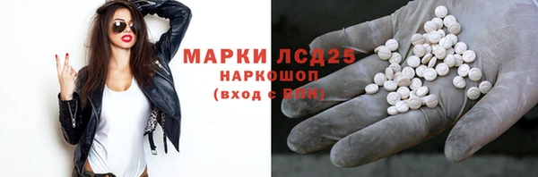 стаф Верея