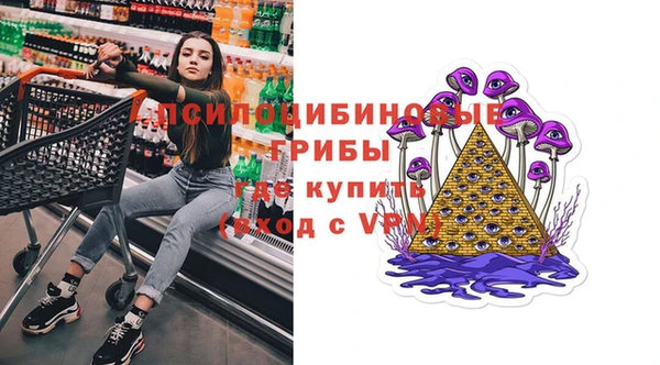 стаф Верея
