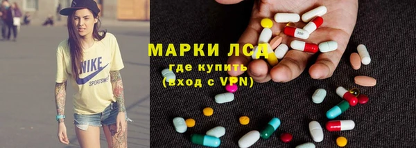 стаф Верея
