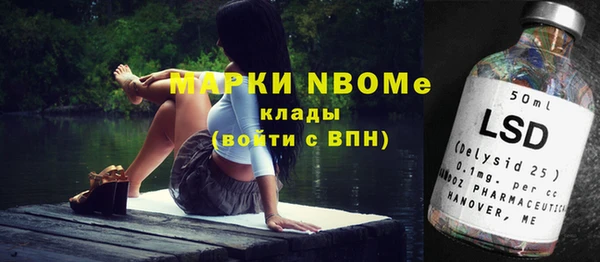 стаф Верея