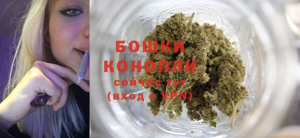 стаф Верея