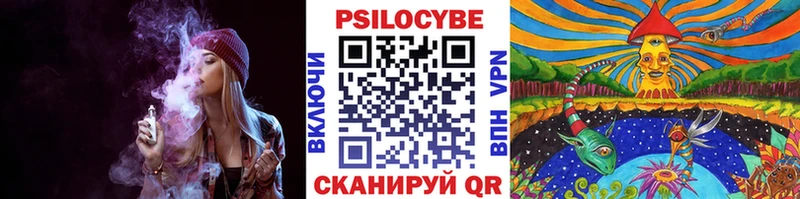Купить закладки  Валуйки  Псилоцибиновые грибы MAGIC MUSHROOMS 